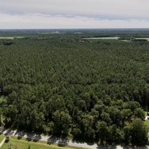 Photo #18 of SOLD property in Off Elijah Loftin Road, Kinston, NC 71.7 acres