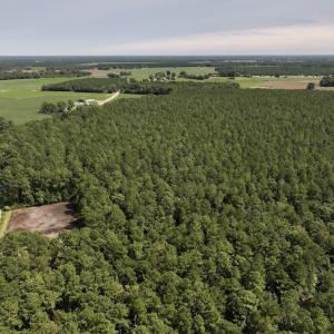 Photo #2 of SOLD property in Off Elijah Loftin Road, Kinston, NC 71.7 acres