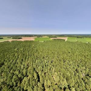 Photo #21 of SOLD property in Off Elijah Loftin Road, Kinston, NC 71.7 acres
