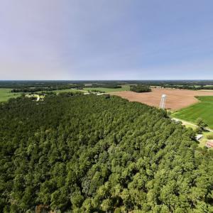 Photo #22 of SOLD property in Off Elijah Loftin Road, Kinston, NC 71.7 acres