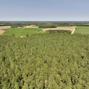 Photo #27 of SOLD property in Off Elijah Loftin Road, Kinston, NC 71.7 acres
