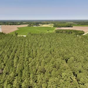 Photo #28 of SOLD property in Off Elijah Loftin Road, Kinston, NC 71.7 acres