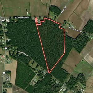 Photo #29 of SOLD property in Off Elijah Loftin Road, Kinston, NC 71.7 acres