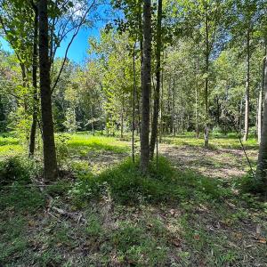 Photo #5 of SOLD property in Off South Quay Rd, Suffolk, VA 14.0 acres