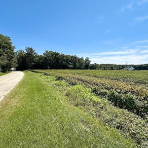 Photo #6 of SOLD property in Off South Quay Rd, Suffolk, VA 14.0 acres