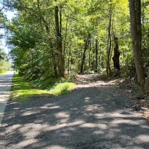 Photo #7 of SOLD property in Off South Quay Rd, Suffolk, VA 14.0 acres
