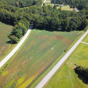 Photo #8 of SOLD property in Off South Quay Rd, Suffolk, VA 14.0 acres