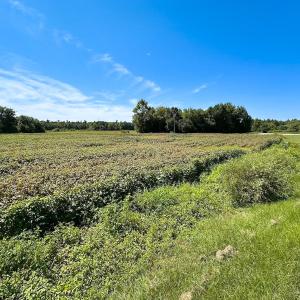 Photo #10 of SOLD property in Off South Quay Rd, Suffolk, VA 14.0 acres
