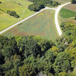 Photo #14 of SOLD property in Off South Quay Rd, Suffolk, VA 14.0 acres