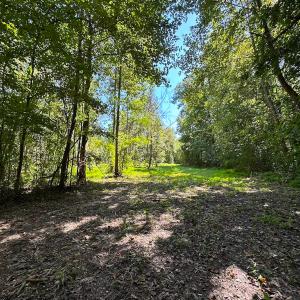 Photo #15 of SOLD property in Off South Quay Rd, Suffolk, VA 14.0 acres