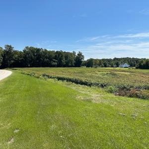Photo #16 of SOLD property in Off South Quay Rd, Suffolk, VA 14.0 acres