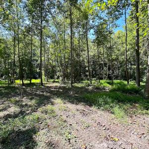 Photo #17 of SOLD property in Off South Quay Rd, Suffolk, VA 14.0 acres