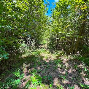 Photo #19 of SOLD property in Off South Quay Rd, Suffolk, VA 14.0 acres