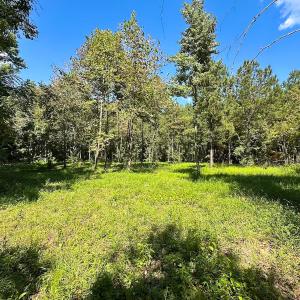 Photo #22 of SOLD property in Off South Quay Rd, Suffolk, VA 14.0 acres