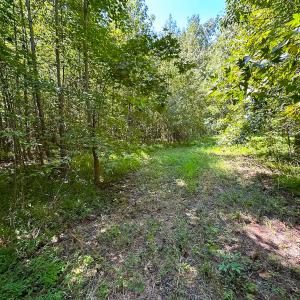 Photo #24 of SOLD property in Off South Quay Rd, Suffolk, VA 14.0 acres