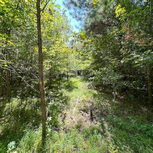 Photo #27 of SOLD property in Off South Quay Rd, Suffolk, VA 14.0 acres