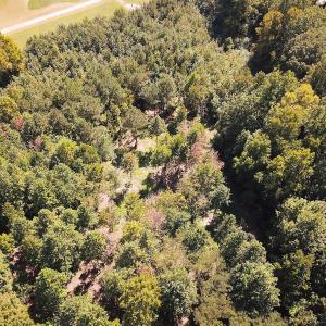 Photo #32 of SOLD property in Off South Quay Rd, Suffolk, VA 14.0 acres