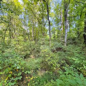 Photo #33 of SOLD property in Off South Quay Rd, Suffolk, VA 14.0 acres
