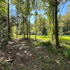 Photo #34 of SOLD property in Off South Quay Rd, Suffolk, VA 14.0 acres