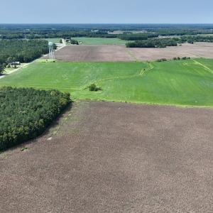 Photo #13 of SOLD property in 1395 Hwy 58 South - Tract #1, Kinston, NC 171.8 acres