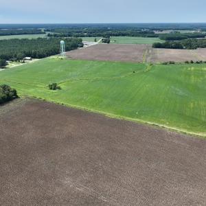 Photo #14 of SOLD property in 1395 Hwy 58 South - Tract #1, Kinston, NC 171.8 acres