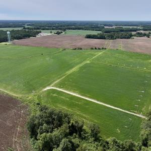 Photo #15 of SOLD property in 1395 Hwy 58 South - Tract #1, Kinston, NC 171.8 acres