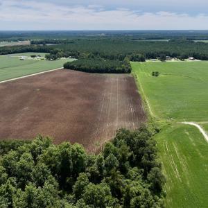Photo #16 of SOLD property in 1395 Hwy 58 South - Tract #1, Kinston, NC 171.8 acres