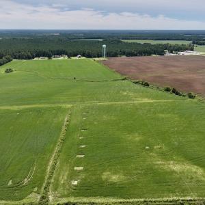 Photo #18 of SOLD property in 1395 Hwy 58 South - Tract #1, Kinston, NC 171.8 acres