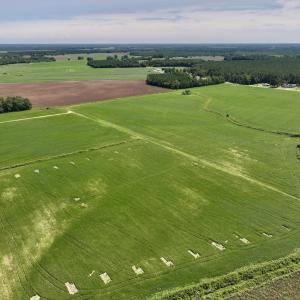 Photo #19 of SOLD property in 1395 Hwy 58 South - Tract #1, Kinston, NC 171.8 acres