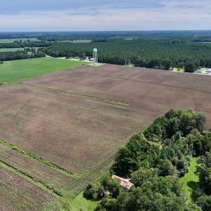 Photo #22 of SOLD property in 1395 Hwy 58 South - Tract #1, Kinston, NC 171.8 acres