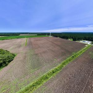 Photo #27 of SOLD property in 1395 Hwy 58 South - Tract #1, Kinston, NC 171.8 acres
