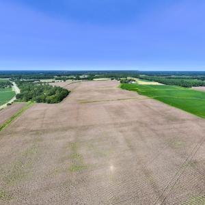 Photo #29 of SOLD property in 1395 Hwy 58 South - Tract #1, Kinston, NC 171.8 acres