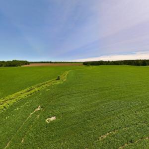 Photo #33 of SOLD property in 1395 Hwy 58 South - Tract #1, Kinston, NC 171.8 acres