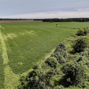 Photo #34 of SOLD property in 1395 Hwy 58 South - Tract #1, Kinston, NC 171.8 acres
