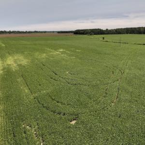 Photo #35 of SOLD property in 1395 Hwy 58 South - Tract #1, Kinston, NC 171.8 acres