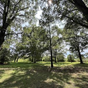 Photo #39 of SOLD property in 1395 Hwy 58 South - Tract #1, Kinston, NC 171.8 acres