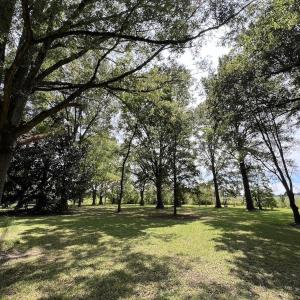Photo #40 of SOLD property in 1395 Hwy 58 South - Tract #1, Kinston, NC 171.8 acres