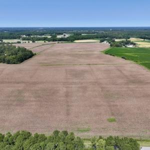 Photo #7 of SOLD property in 1395 Hwy 58 South - Tract #1, Kinston, NC 171.8 acres