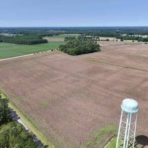 Photo #9 of SOLD property in 1395 Hwy 58 South - Tract #1, Kinston, NC 171.8 acres