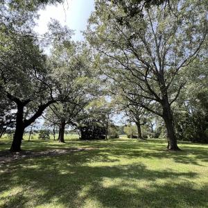 Photo #42 of SOLD property in 1395 Hwy 58 South - Tract #1, Kinston, NC 171.8 acres