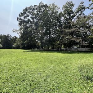 Photo #43 of SOLD property in 1395 Hwy 58 South - Tract #1, Kinston, NC 171.8 acres