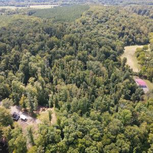 Photo #3 of Off South County Line Rd., Patrick Springs, VA 134.8 acres