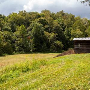 Photo #23 of Off South County Line Rd., Patrick Springs, VA 134.8 acres