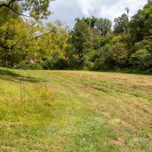 Photo #25 of Off South County Line Rd., Patrick Springs, VA 134.8 acres