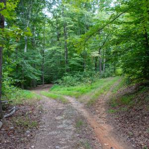 Photo #26 of Off South County Line Rd., Patrick Springs, VA 134.8 acres