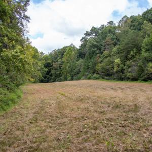 Photo #27 of Off South County Line Rd., Patrick Springs, VA 134.8 acres