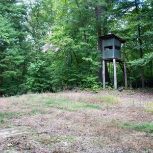 Photo #28 of Off South County Line Rd., Patrick Springs, VA 134.8 acres