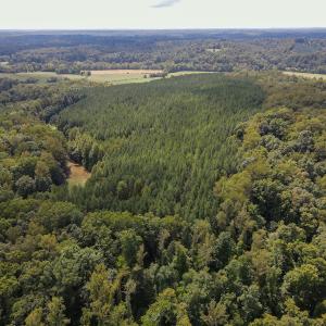 Photo #29 of Off South County Line Rd., Patrick Springs, VA 134.8 acres