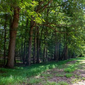 Photo #31 of Off South County Line Rd., Patrick Springs, VA 134.8 acres