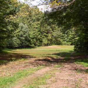 Photo #32 of Off South County Line Rd., Patrick Springs, VA 134.8 acres
